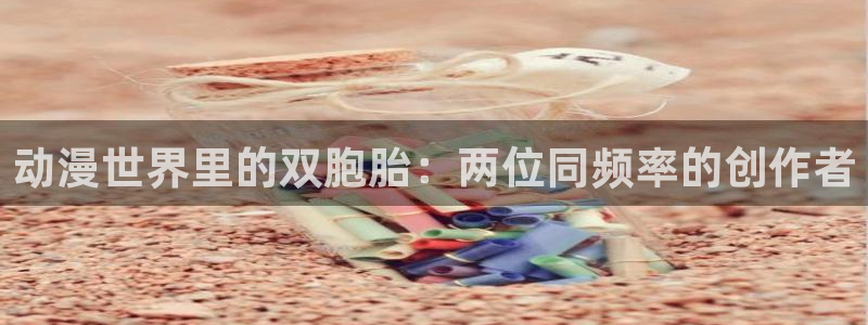 囧次元无：动漫世界里的双胞胎：两位同频率的创作者